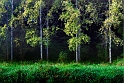 rabre  23_09_11n01